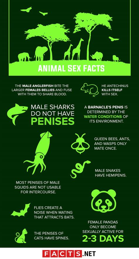 animal s3x|10 Surprising Facts About Animal Sex .